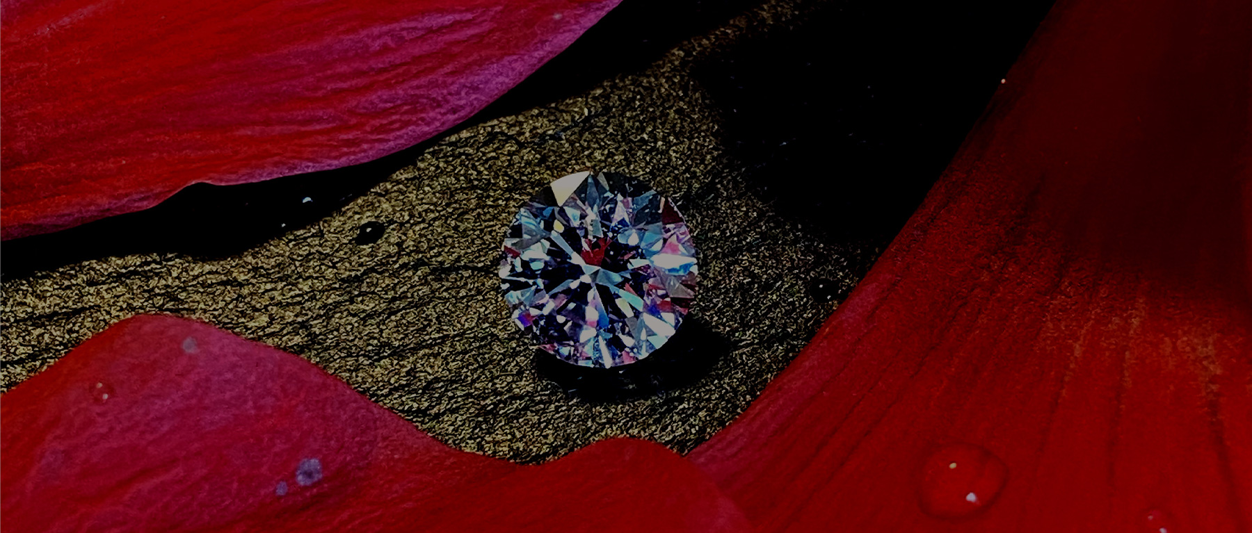 ご予約・お問い合わせはこちら